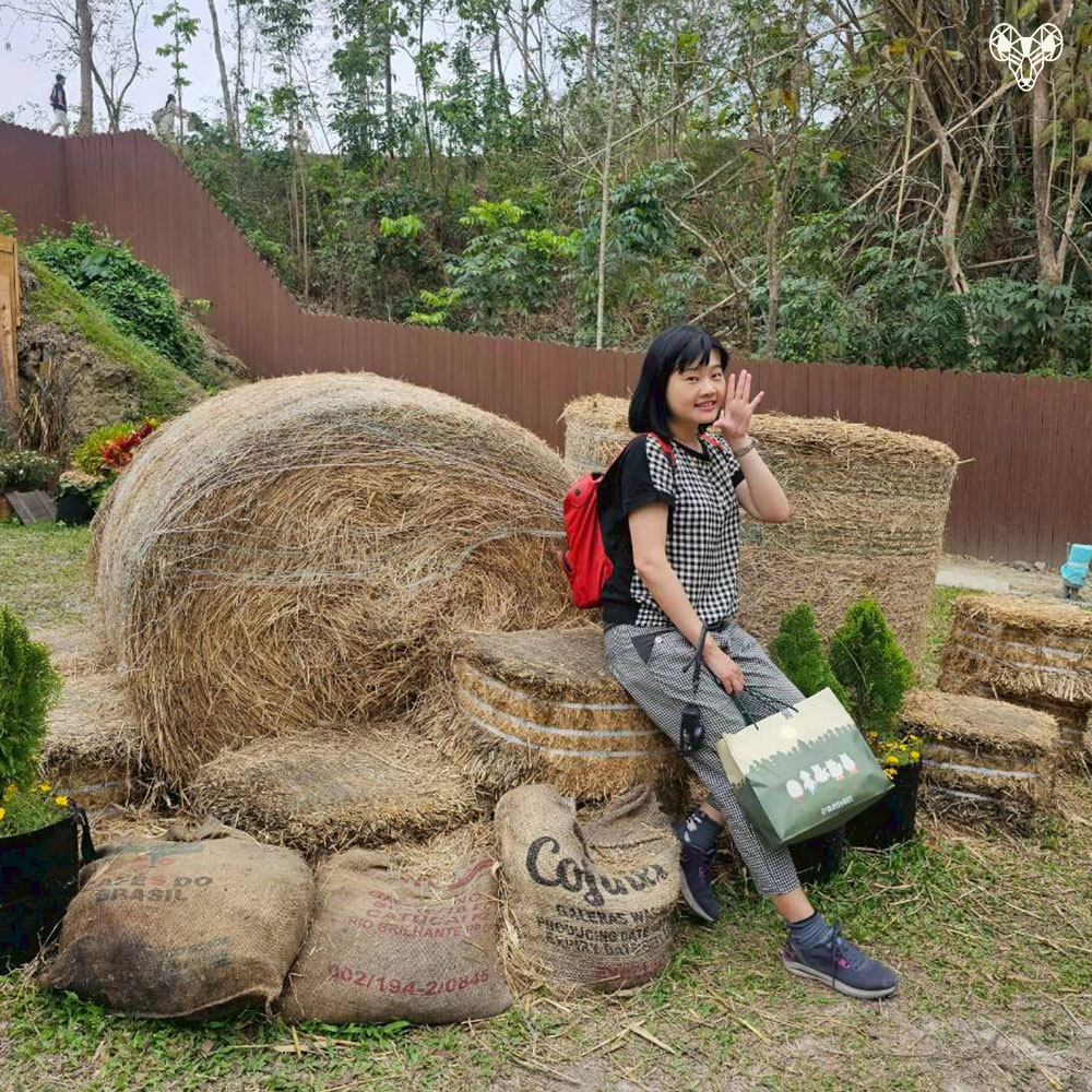 野森動物學校-小馬農場裡的擺設與草野嘉合照04
