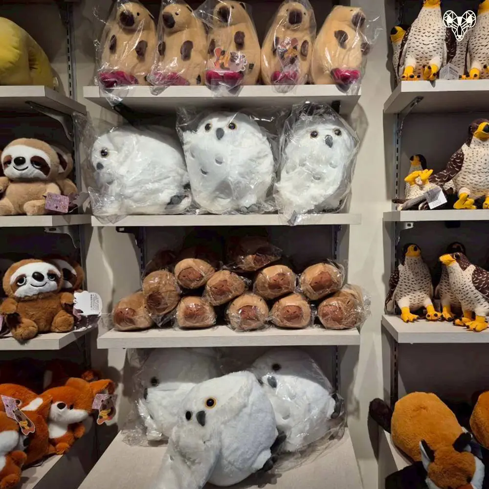 野森動物學校-森林禮品屋裡的娃娃01
