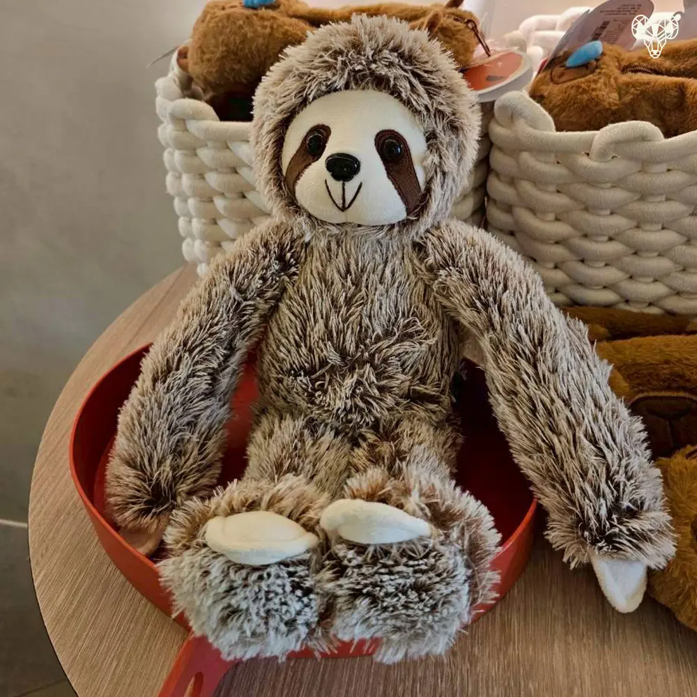 野森動物學校-森林禮品屋裡的樹懶