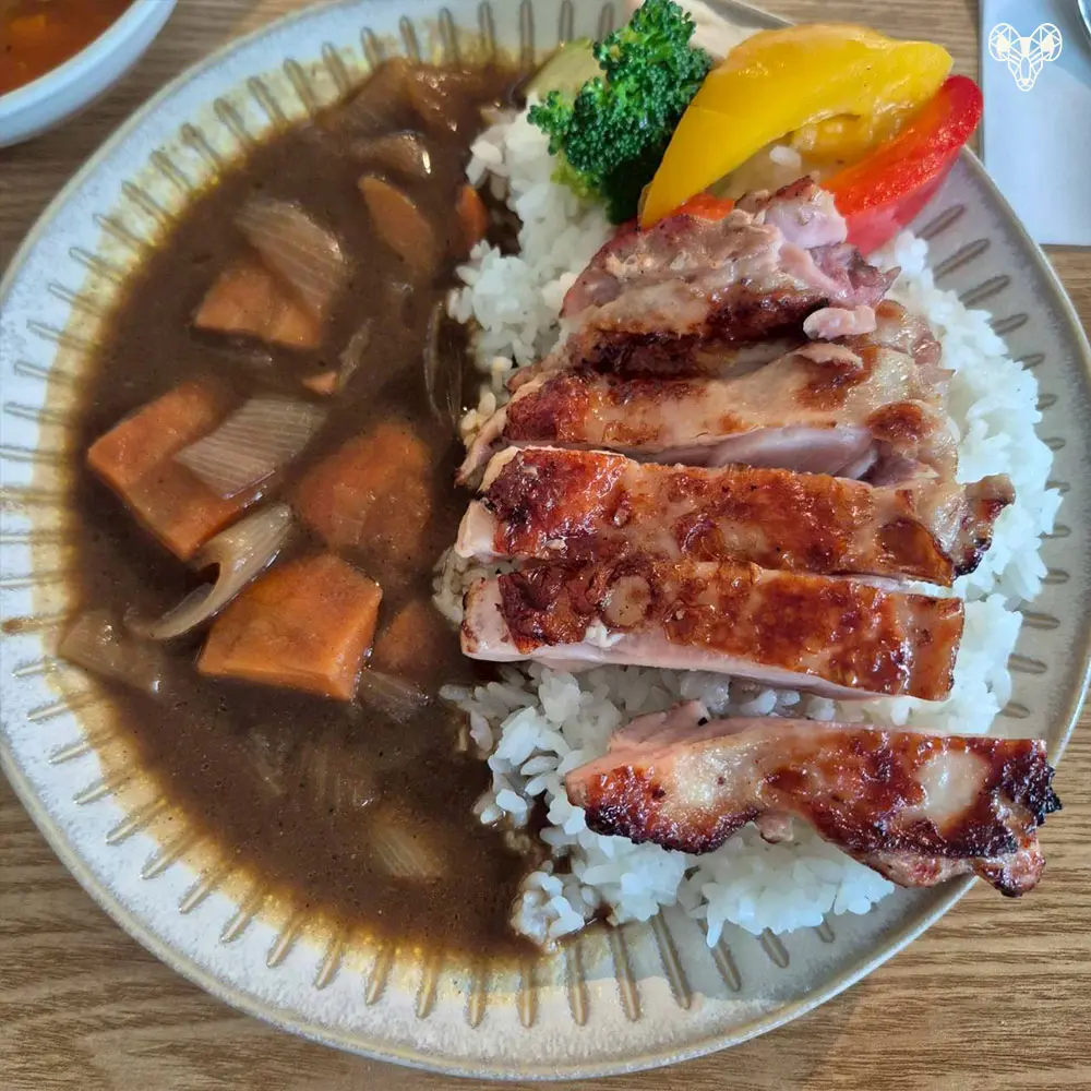 野森動物學校-樹懶時光屋-香煎雞腿排咖哩飯