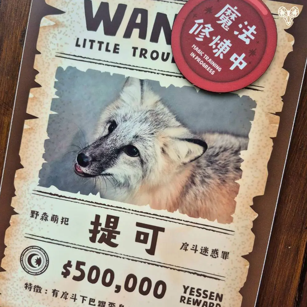 野森動物學校-狐狸谷門口的狐狸介紹-提可