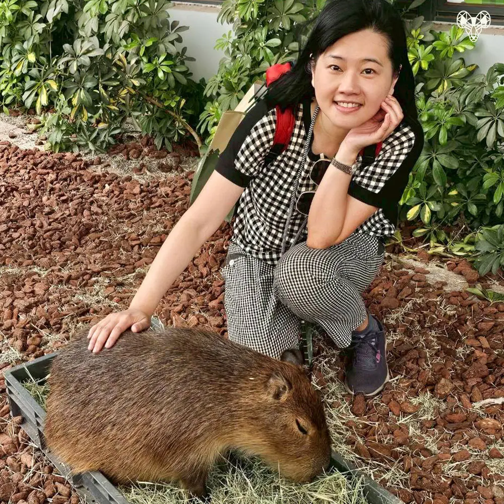 野森動物學校-草野嘉和水豚君02